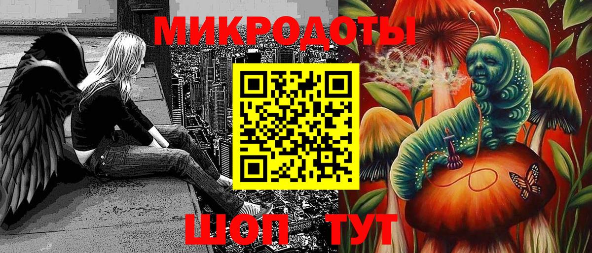 Петрозаводск  Псилоцибиновые грибы прущие грибы  Вход с VPN 